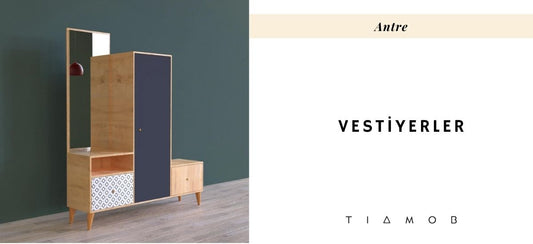 Vestiyer Nedir?